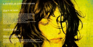 Bobo in white wooden houses by Jarek Raczek