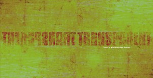 Bobo in white wooden houses by Jarek Raczek