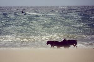 Surfing Tarifa Jarek Raczek
